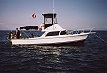 1965 Sportfish