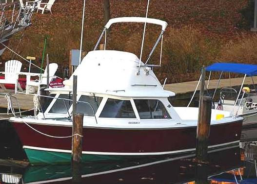 "Slainte" - 1972 Bertram Sportfish