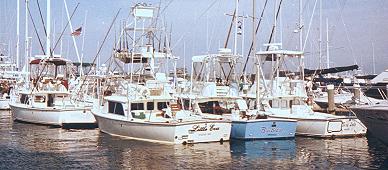 Bertram 31 Block Island Rendezvous 2002