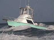 "Fighting Angel" Owned by Jim Gatto, Cape May, NJ