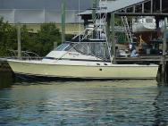 "Baba Grande" - Owned by Capt Mike Kelley, Tarpon Springs, FL