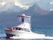 "Falcon" owned by Tony Arsenault, Homer, Alaska
