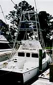 "Nakota" owned by Nick Perrini, New Bern, NC