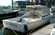 "Seaborn" - Owned by Rick Born, Annapolis, MD