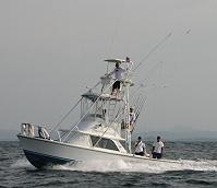 "White Marlin" - Owned by JC  Sanchez, El Salvador