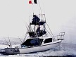 1961 31' BERTRAM SPORTFISH