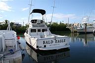 1976 Bertram 31 FBC - For Sale $97,000
