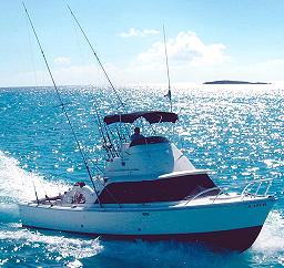 "Bald Eagle" Owned By David Armbruster, Ft. Lauderdale  - FOR SALE $97,000