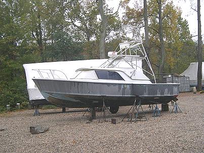 31 Bertram - Express Cruiser - $20,000.00 USD