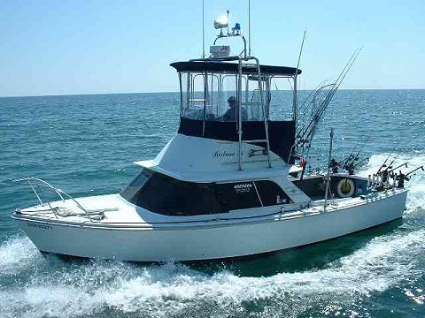 "Harpoon" 31 Bertram FBC - $39,900 USD