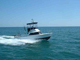 "Harpoon" 31 Bertram FBC - $39,900 USD