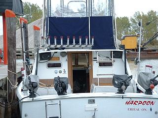 "Harpoon" 31 Bertram FBC - $39,900 USD