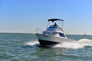 31 Bertram - Flybridge Cruiser - $120,000 USD